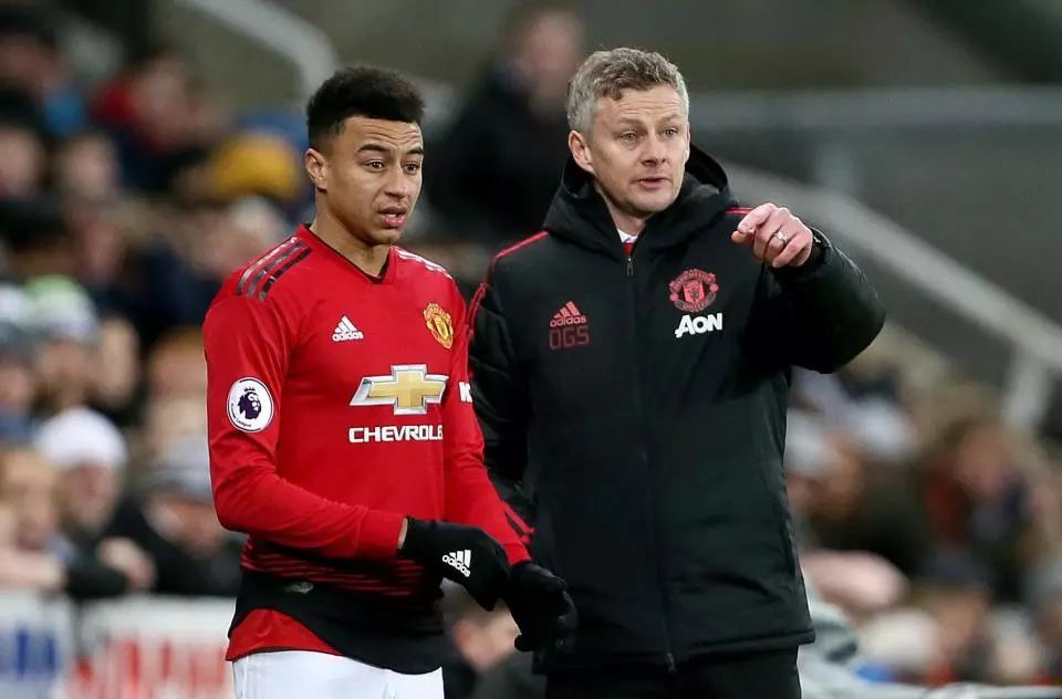 提升的领域 提升的领域